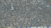 Fan GIF by Olympique de Marseille