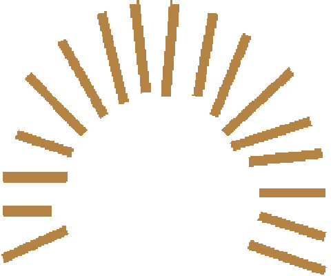 Ceremoniadomum Sticker by domum