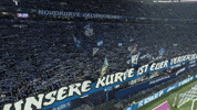 Happy Football GIF by FC Schalke 04