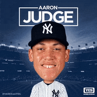 New York Yankees Sport GIF by YES Network