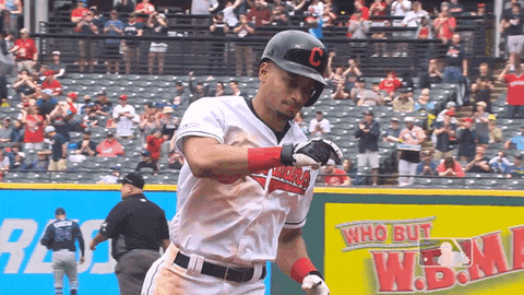 major league baseball sport GIF by MLB