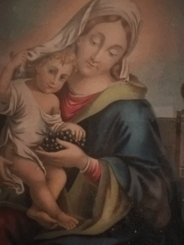 Simongip giphygifmaker GIF