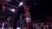 ufc 221 sport GIF by UFC