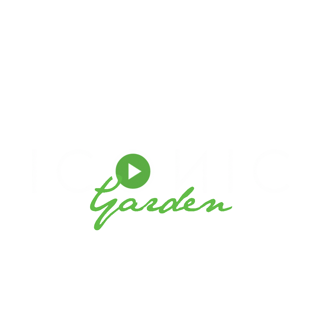 iconicgarden giphyupload iconic partytime letsdance Sticker