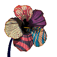Flower Hibiscus Sticker