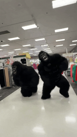 Chubsuit chubsuit chub suit chubsuit dance chub suits GIF