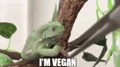 crazy_russian_diaries giphygifmaker meme vegan frog GIF