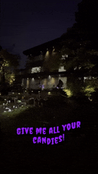 Halloween Canada GIF by Casol