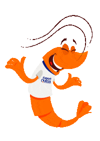 Laugh Ecuador Sticker by exportquilsa