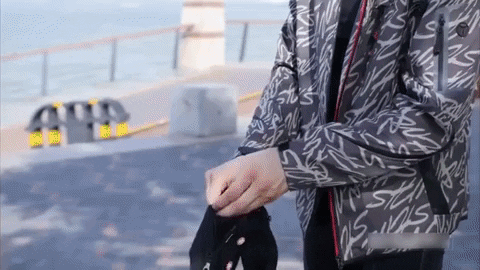 SideLeaf giphygifmaker GIF