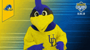 College Sports Mascots GIF by College Colors Day