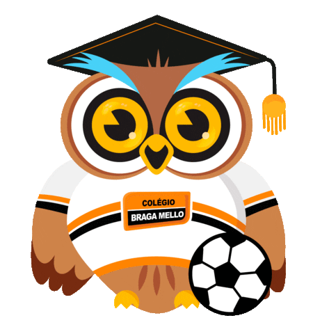 Football Soccer Sticker by Braga Mello