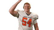Cnfb Sticker by Carson-Newman Athletics