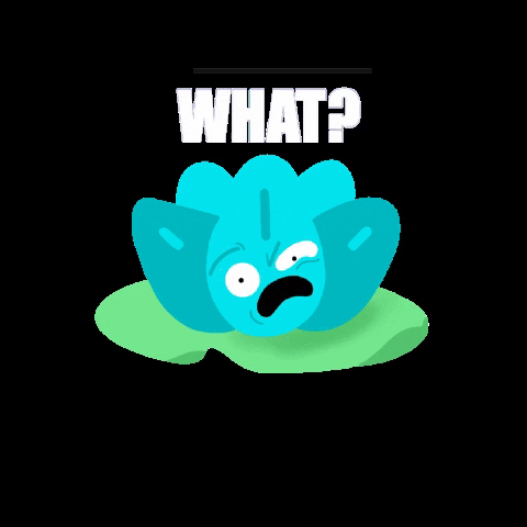 ClinicPiel what wtf skincare skin GIF