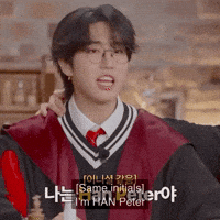 Stray Kids Skz GIF