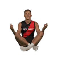 Johnson Dons Sticker by Essendon FC