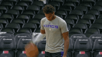 lets go kings GIF by NBA