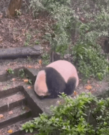 ehdgus1211 giphyupload GIF