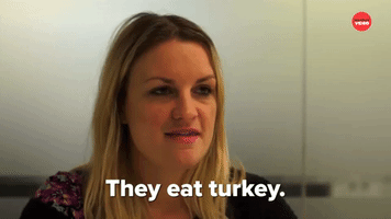 They Eat Turkey