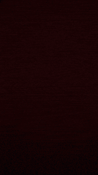 Mdp GIF by Youtooz