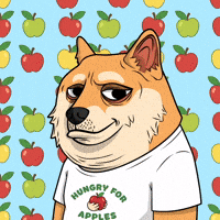 Shiba Inu Dog GIF by Doge Pound