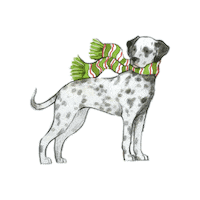 Dog Christmas Sticker by Pier 1