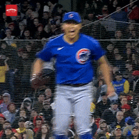 Cubs GIF by Marquee Sports Network