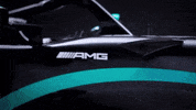 Formula 1 Sport GIF by Mercedes-AMG Petronas Formula One Team