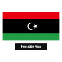 Libya Flag Sticker by Formación Ninja