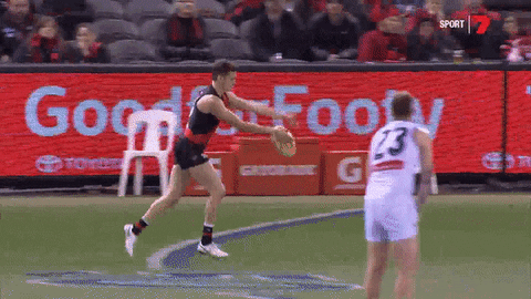 sport celebration GIF by Essendon FC