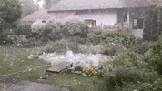 madmoizelledotcom  GIF