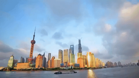 shang hai GIF