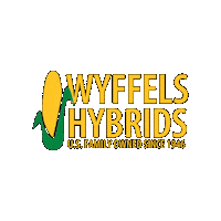 Corn Grow Sticker by Wyffels Hybrids