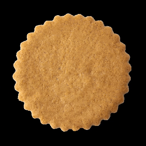deweysbakery giphygifmaker ginger cookie ginger snap moravian cookie GIF