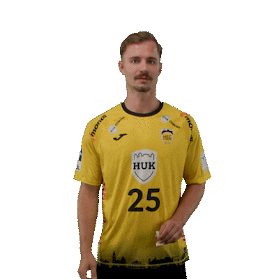 Handball Coburg Sticker by DAIKIN HBL