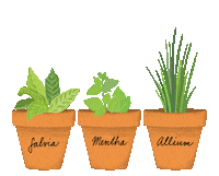 Magic Flowers Sticker by Mysľomágovia