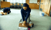 Cpr GIF by Monterey Bay Aquarium