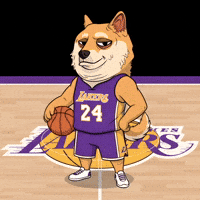Shiba Inu Basketball GIF by Doge Pound
