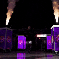 Womens Basketball Sport GIF by LSU Tigers