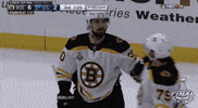 ice hockey sport GIF by NHL
