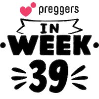 Pregnancy Trimester Sticker by Preggers