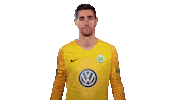 World Cup Football Sticker by VfL Wolfsburg