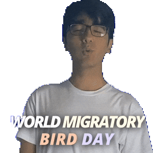 World Migratory Bird Day Sticker