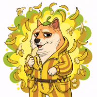 Shiba Inu Dog GIF by Doge Pound