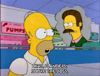 Season 2 GIF by The Simpsons