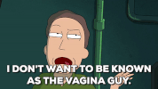 adultswim rick and morty GIF