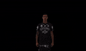 Sturmgraz Despodov GIF by SK Sturm