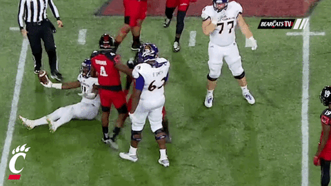 cincinnati bearcats energy GIF by University of Cincinnati Athletics