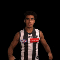 collingwoodfc pies collingwood magpies collingwoodfc GIF