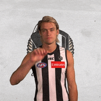 collingwoodfc pies collingwood magpies collingwoodfc GIF